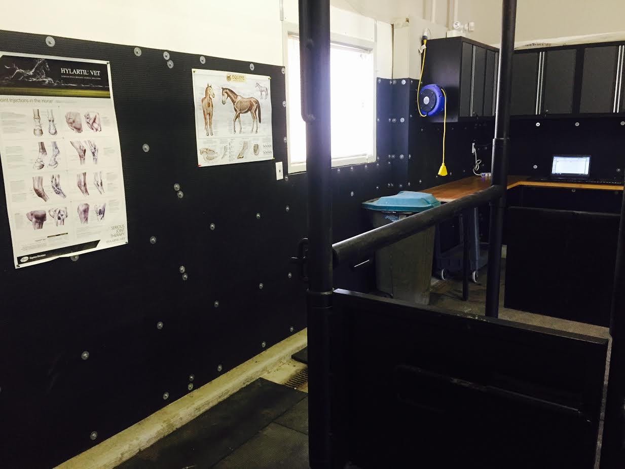 The indoor exam room at the Crossfield clinic