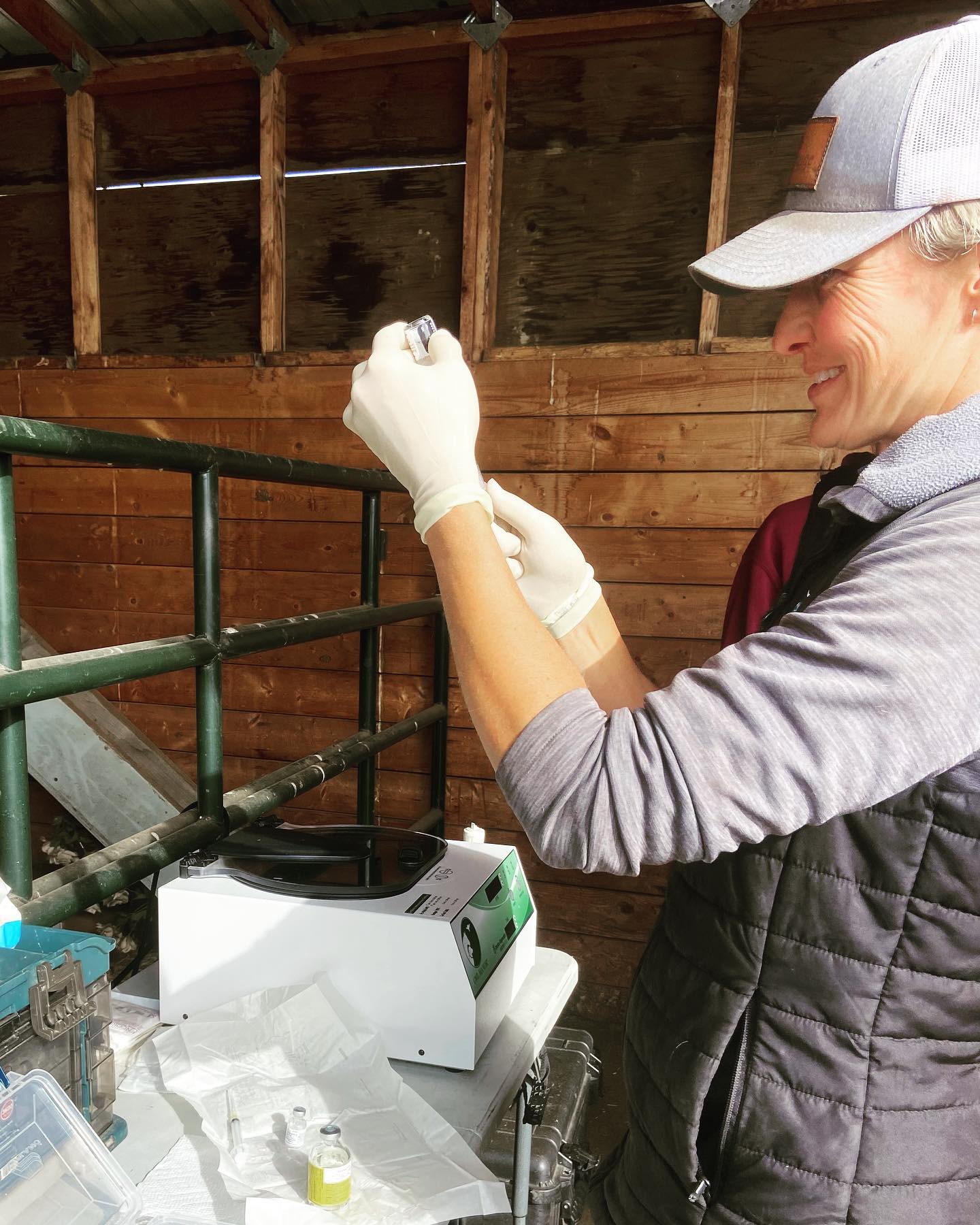 Veterinarian preparing a sample during an on-farm visit